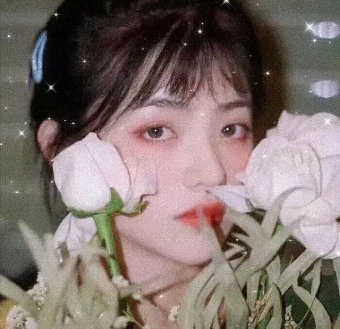 菊石